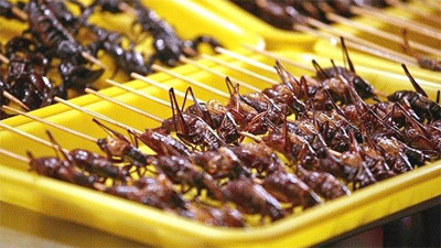 وفاة أميركي بعد "وجبة حشرات"